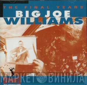 Big Joe Williams  - The Final Years