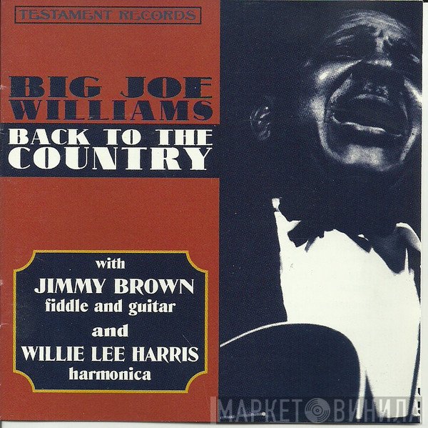 Big Joe Williams With Jimmy Brown  And Willie Lee Harris  - Back To The Country