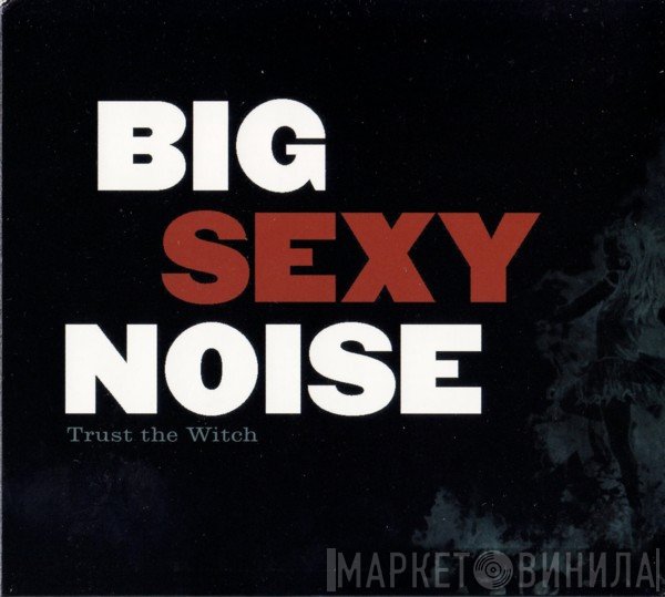 Big Sexy Noise - Trust The Witch