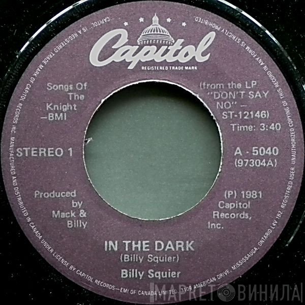 Billy Squier  - In The Dark
