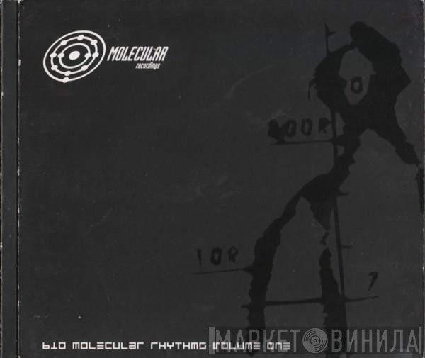  - Bio Molecular Rhythms Volume One