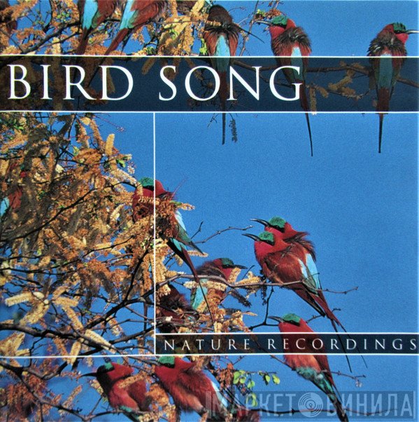  - Bird Song