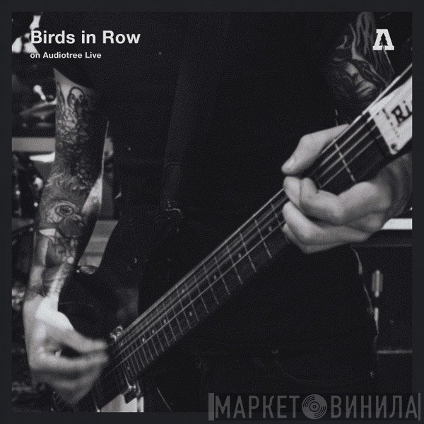 Birds In Row  - Birds In Row On Audiotree Live
