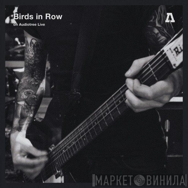 Birds In Row  - Birds In Row On Audiotree Live