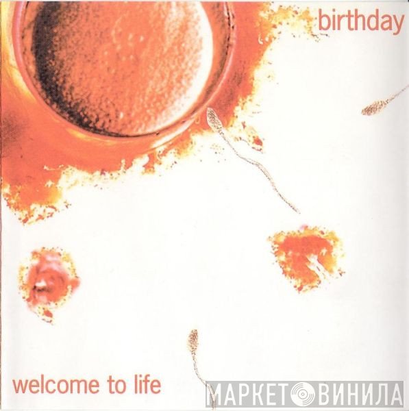 Birthday - Welcome To Life