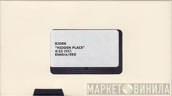 Björk  - Hidden Place