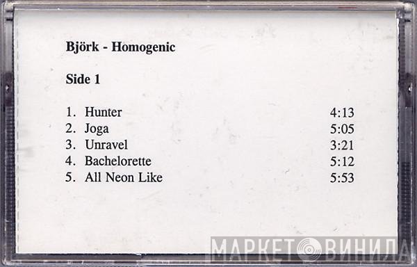 Björk  - Homogenic