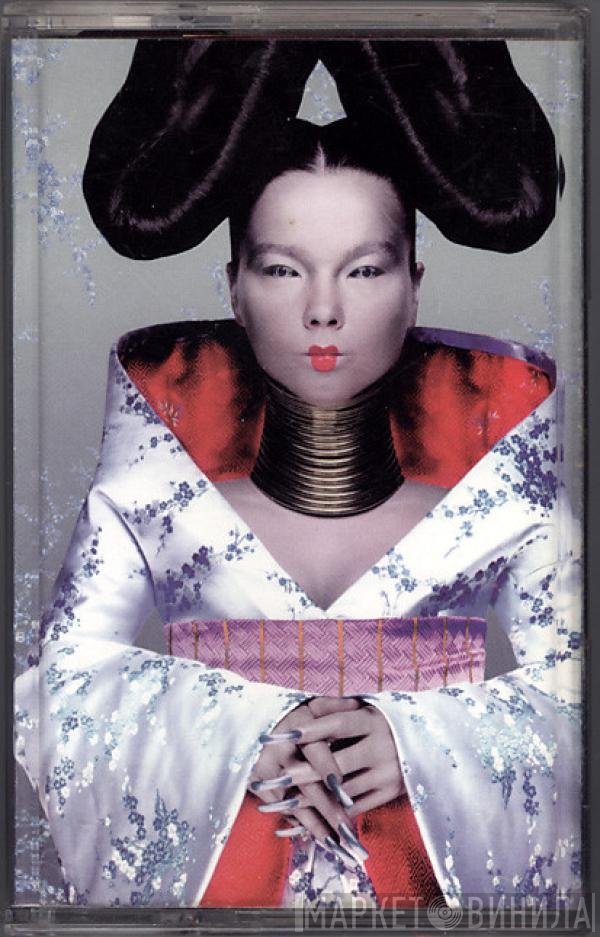 Björk  - Homogenic