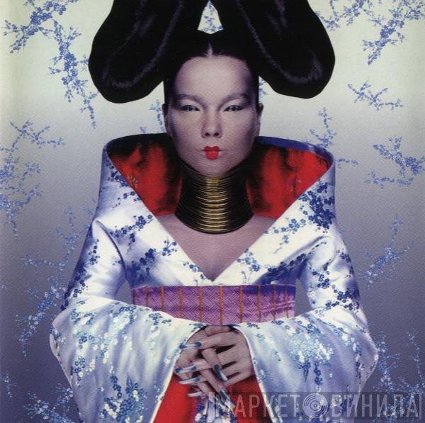 Björk  - Homogenic