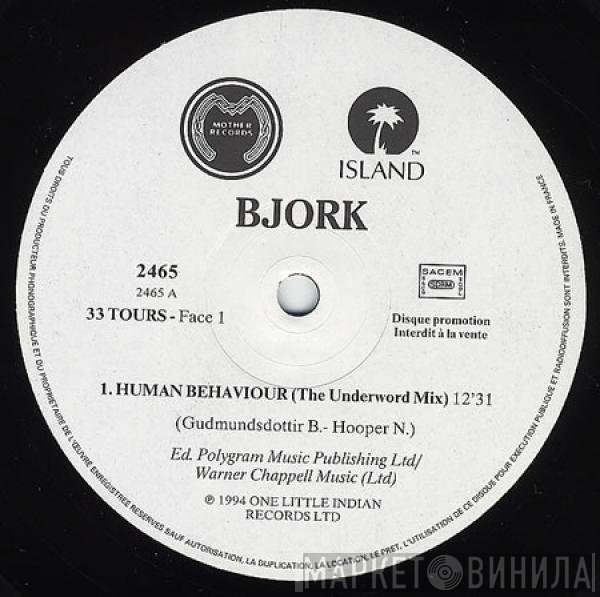Björk  - Human Behaviour