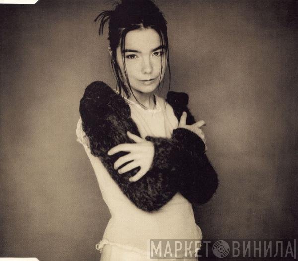 Björk  - Human Behaviour