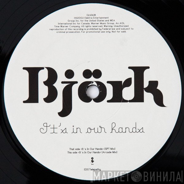 Björk - It's In Our Hands