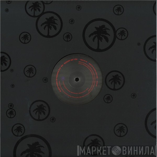 Black Hawks Of Panama, Bisi - Nobody But You