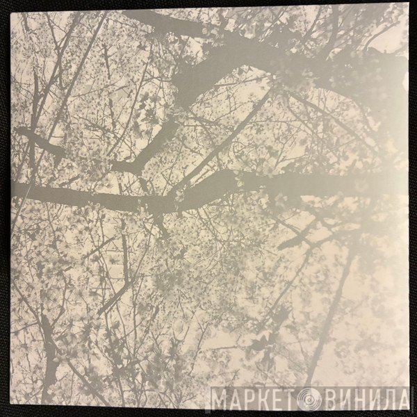 Black Rain  - Obliteration Bliss