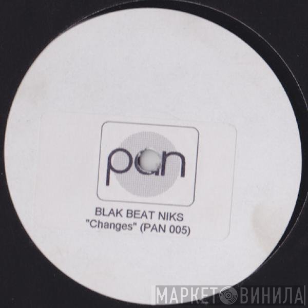 Blak Beat Niks - Changes