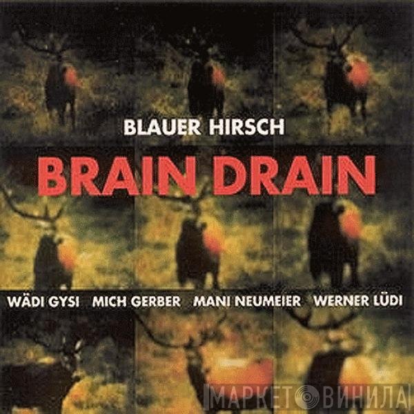 Blauer Hirsch - Brain Drain