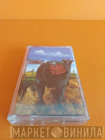 Blink-182  - Dude Ranch