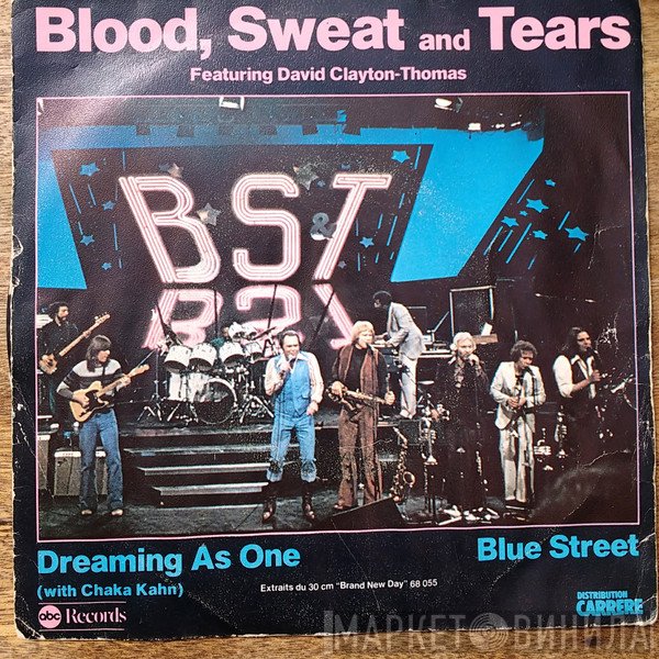Blood, Sweat And Tears Featuring Chaka Khan  - Dreaming As One