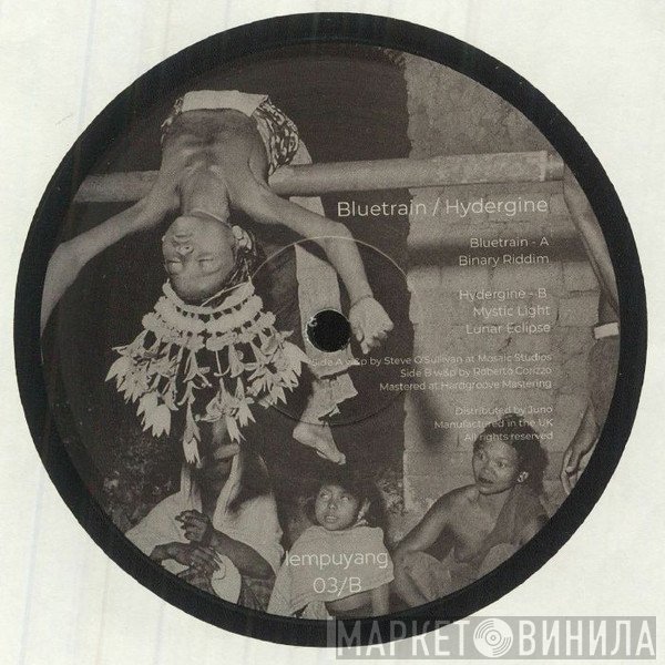 Bluetrain / Hydergine  - Untitled