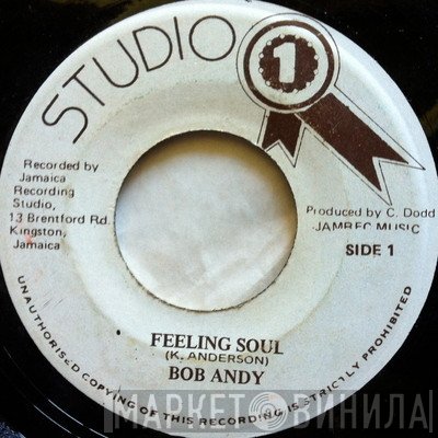 Bob Andy / Sound Dimension  - Feeling Soul