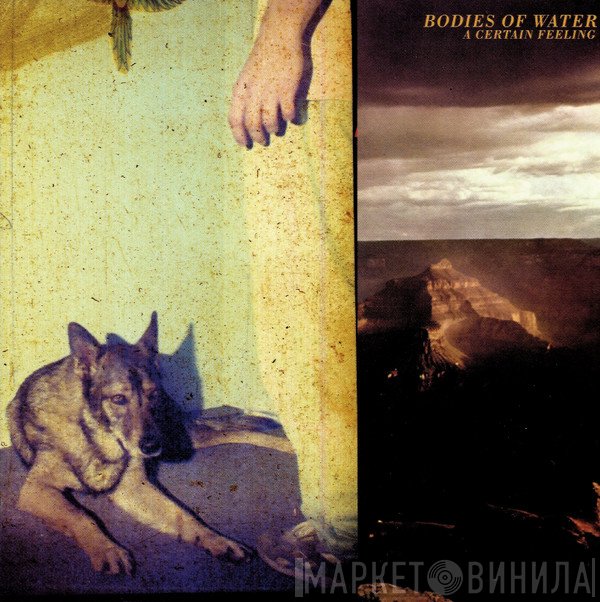 Bodies Of Water - A Certain Feeling