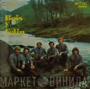 Bois Y Felin - Bois Y Felin