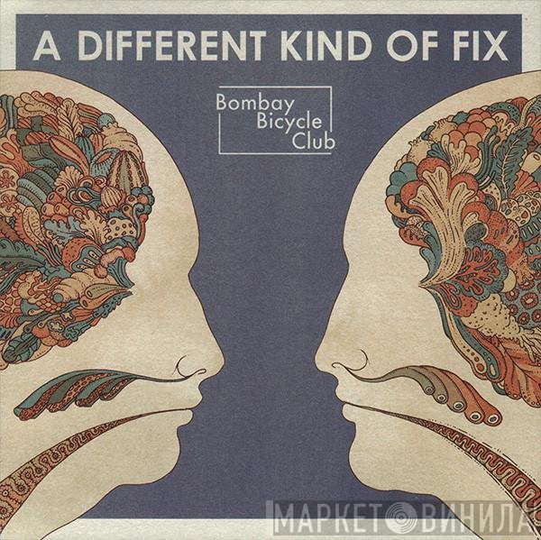 Bombay Bicycle Club - A Different Kind Of Fix