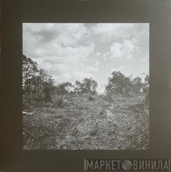 Bookworms - Compact Visual Nature