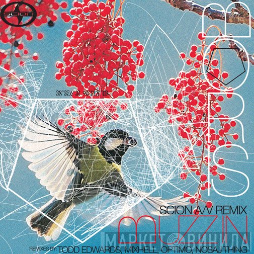 Boris   - Buzz In
