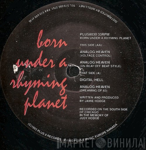 Born Under A Rhyming Planet - Digital:Hell / Analog:Heaven