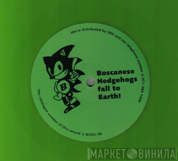 Boscanese Hedgehogs Fall To Earth - Boscanese Hedgehogs Fall To Earth