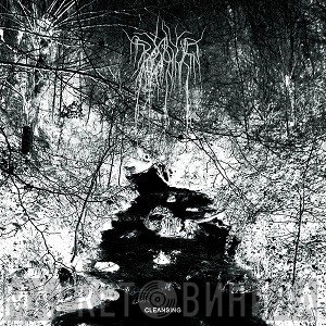 Bosque - Cleansing