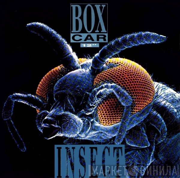 Boxcar  - Insect