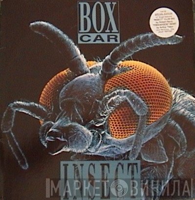 Boxcar  - Insect