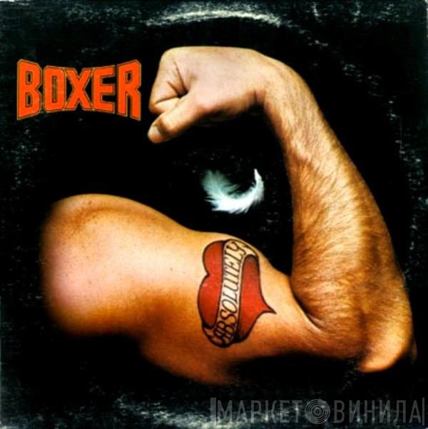 Boxer   - Absolutely