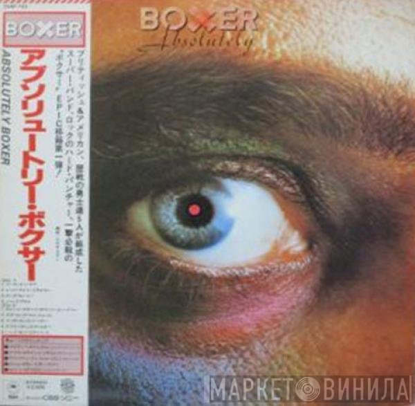 Boxer   - Absolutely