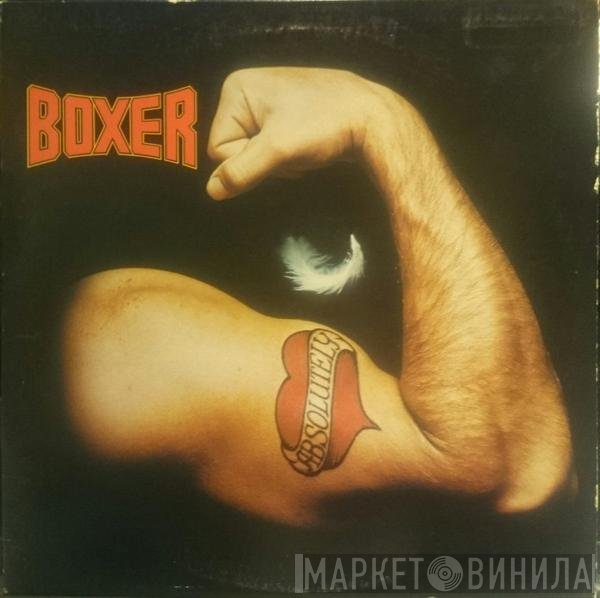 Boxer   - Absolutely