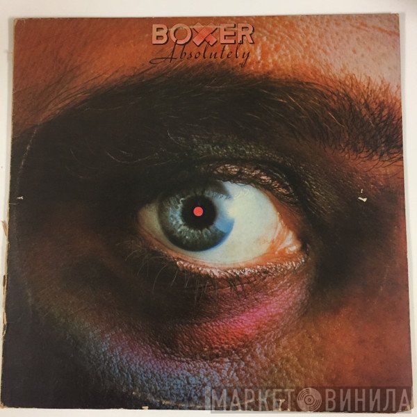 Boxer   - Absolutely
