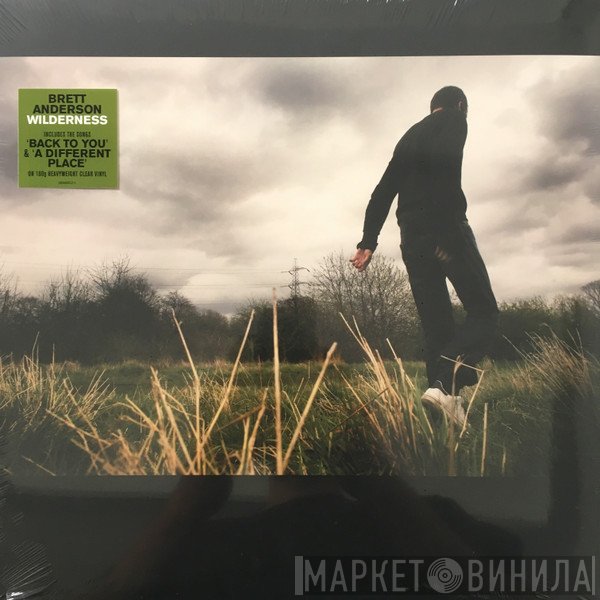 Brett Anderson  - Wilderness