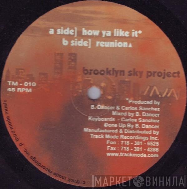 Brett Dancer & Carlos Sanchez  - Brooklyn Sky Project