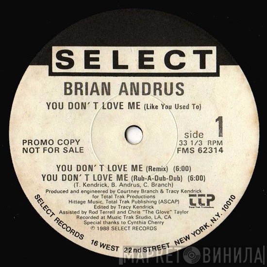 Brian Andrus - You Don't Love Me (Like You Used To)