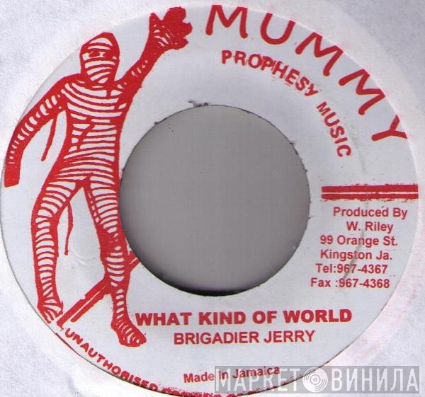 Brigadier Jerry - What Kind Of World