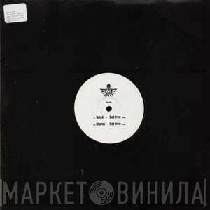 Brisk / DJ Storm  - Set Free (Remixes)