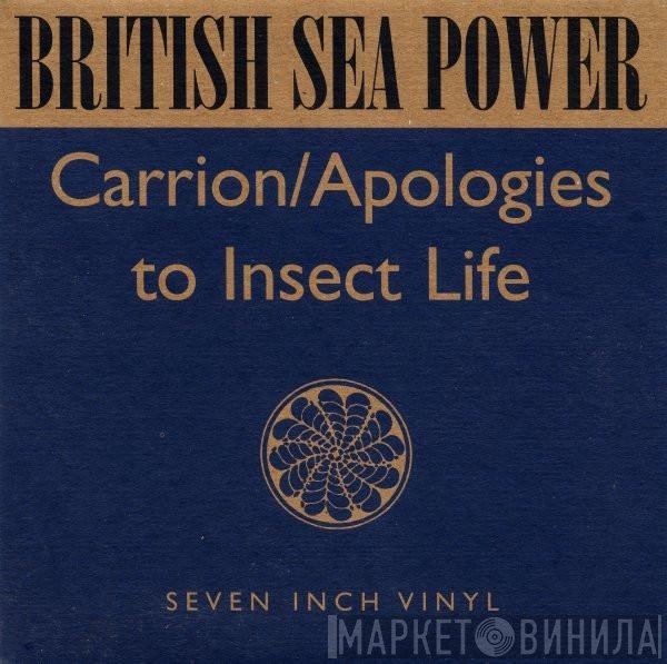 British Sea Power  - Carrion / Apologies To Insect Life