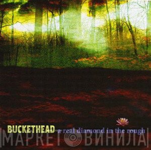 Buckethead  - A Real Diamond In The Rough