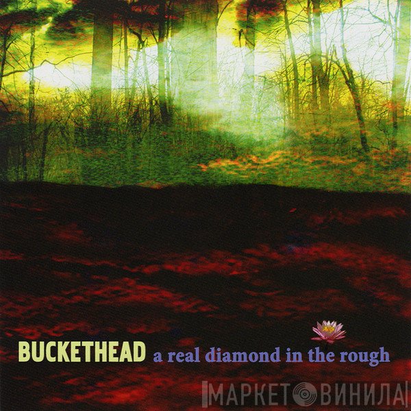 Buckethead  - A Real Diamond In The Rough
