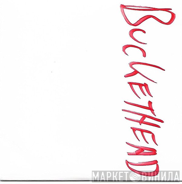 Buckethead  - Invisable Forest