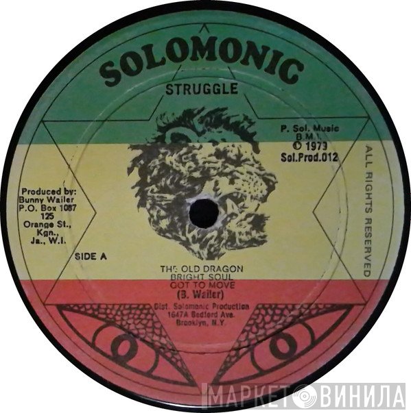 Bunny Wailer  - Protest