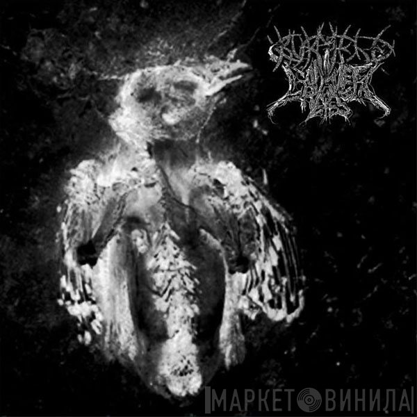 Burmese, Cadaver Eyes - Split