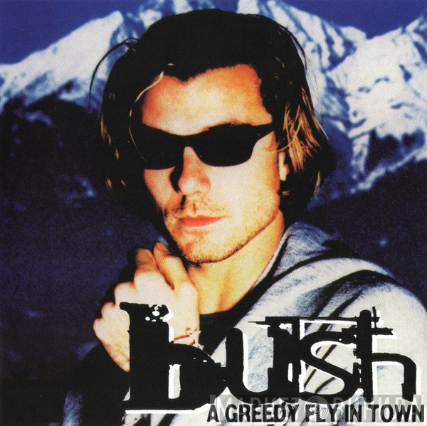 Bush  - A Greedy Fly In Town